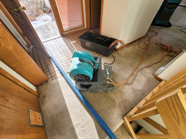 Best Basement water damage restoration  in Glasgow, OR