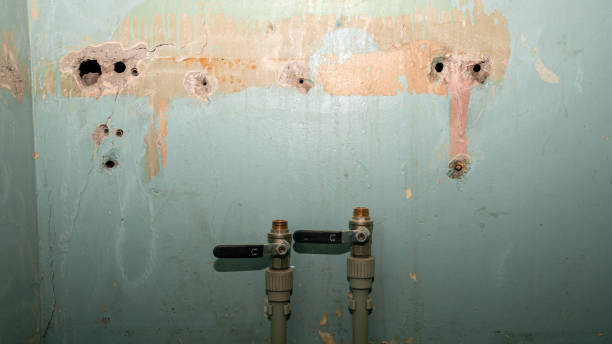 Best Carpet water damage restoration  in Glasgow, OR
